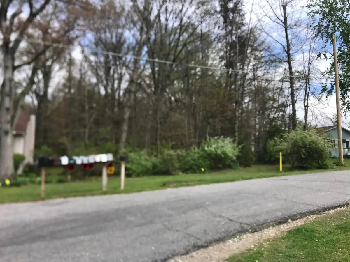 VL Pine Street, Dowagiac, MI 49047 - #1