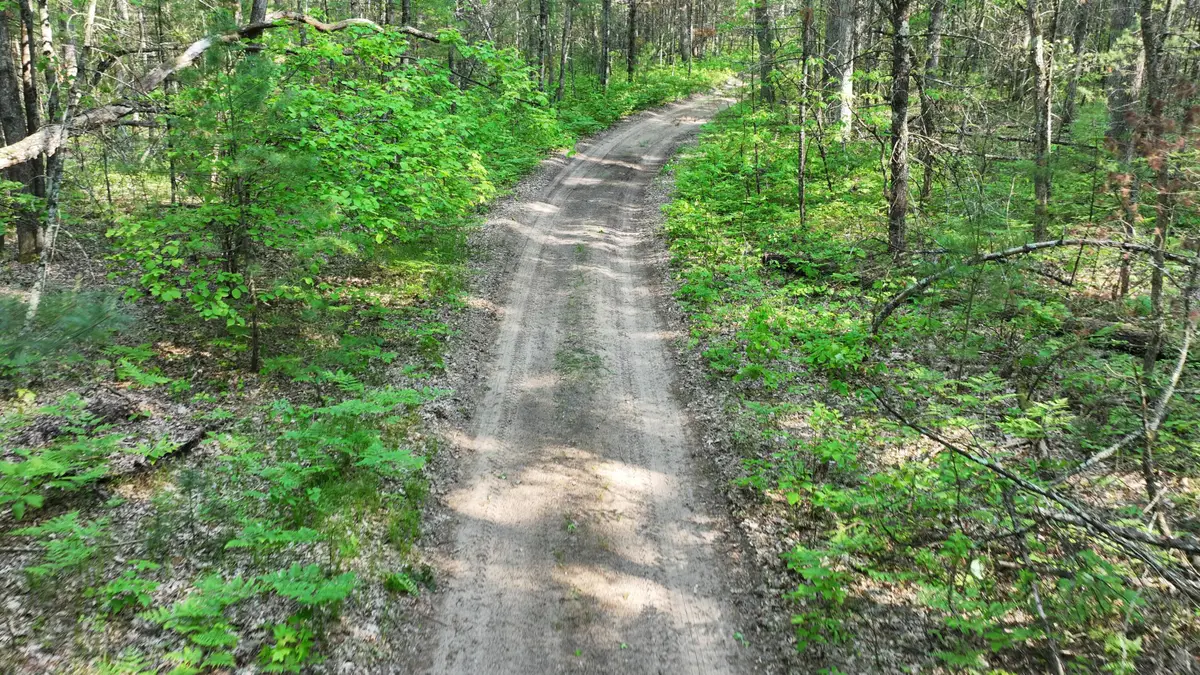 V/L Benson Rd / Frd 5259, Free Soil, MI 49411 - #1