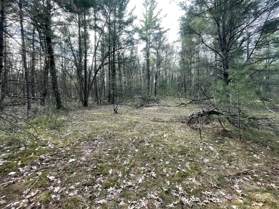 V/L Benson Rd / Frd 5259, Free Soil, MI 49411 - #3