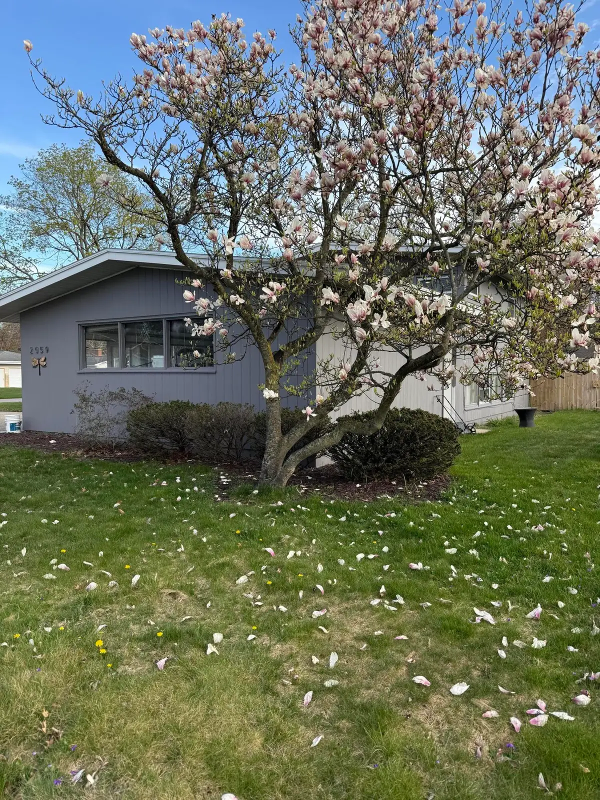 2059 Garland Drive, Norton Shores, MI 49441 - #1