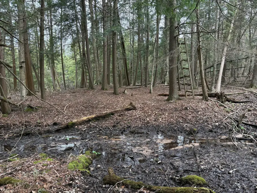 2.27 Acres W Shelby Road, Shelby, MI 49455 - #3
