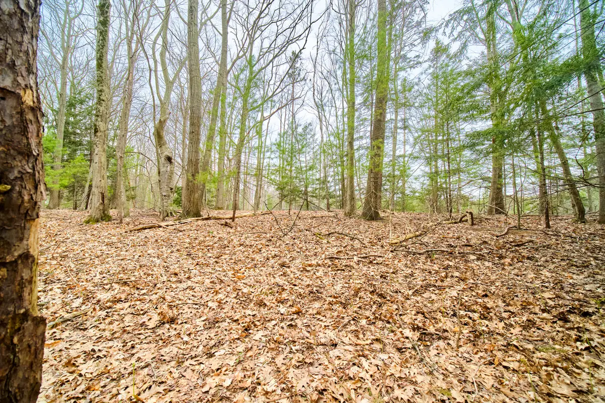E Piney Road, Manistee, MI 49660 - #1
