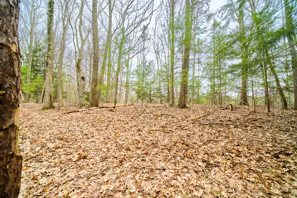 E Piney Road, Manistee, MI 49660