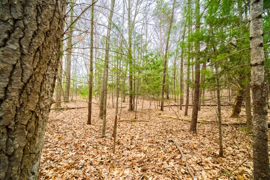 E Piney Road, Manistee, MI 49660 - #2