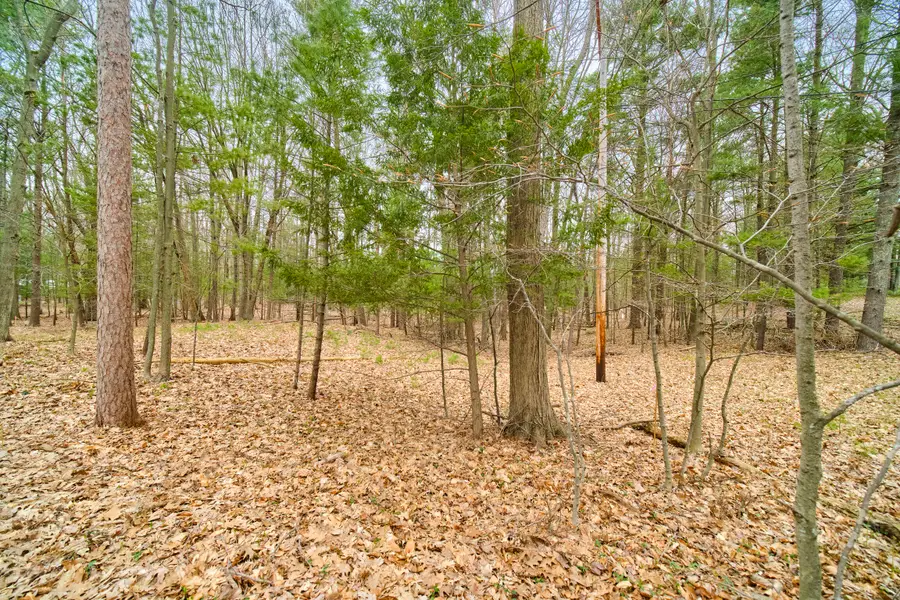 E Piney Road, Manistee, MI 49660 - #3