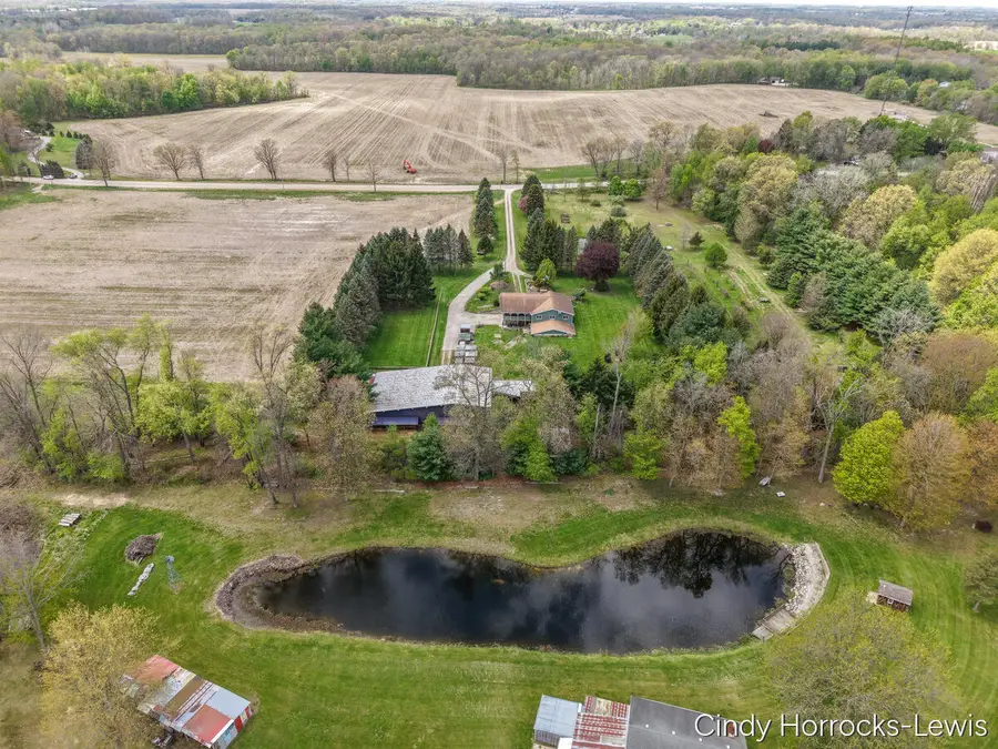 10299 Frost Road, Portland, MI 48875 - #3