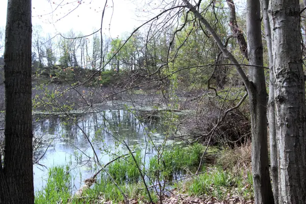 V/L Frost Road, Portland, MI 48875