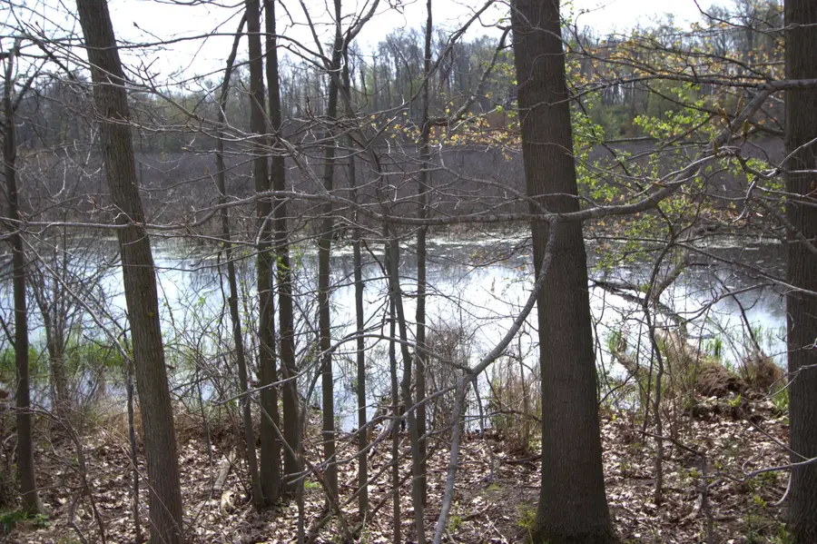 V/L Frost Road, Portland, MI 48875 - #2