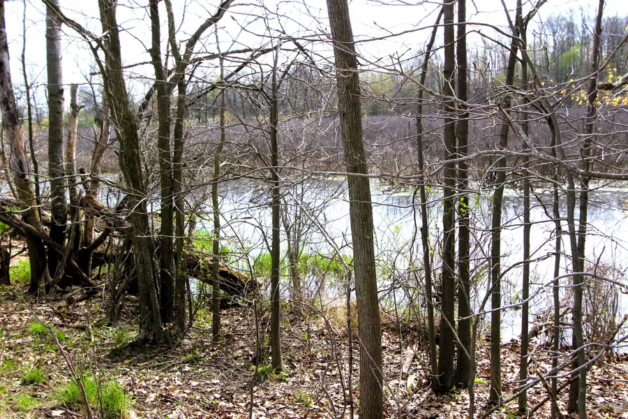 V/L Frost Road, Portland, MI 48875 - #3