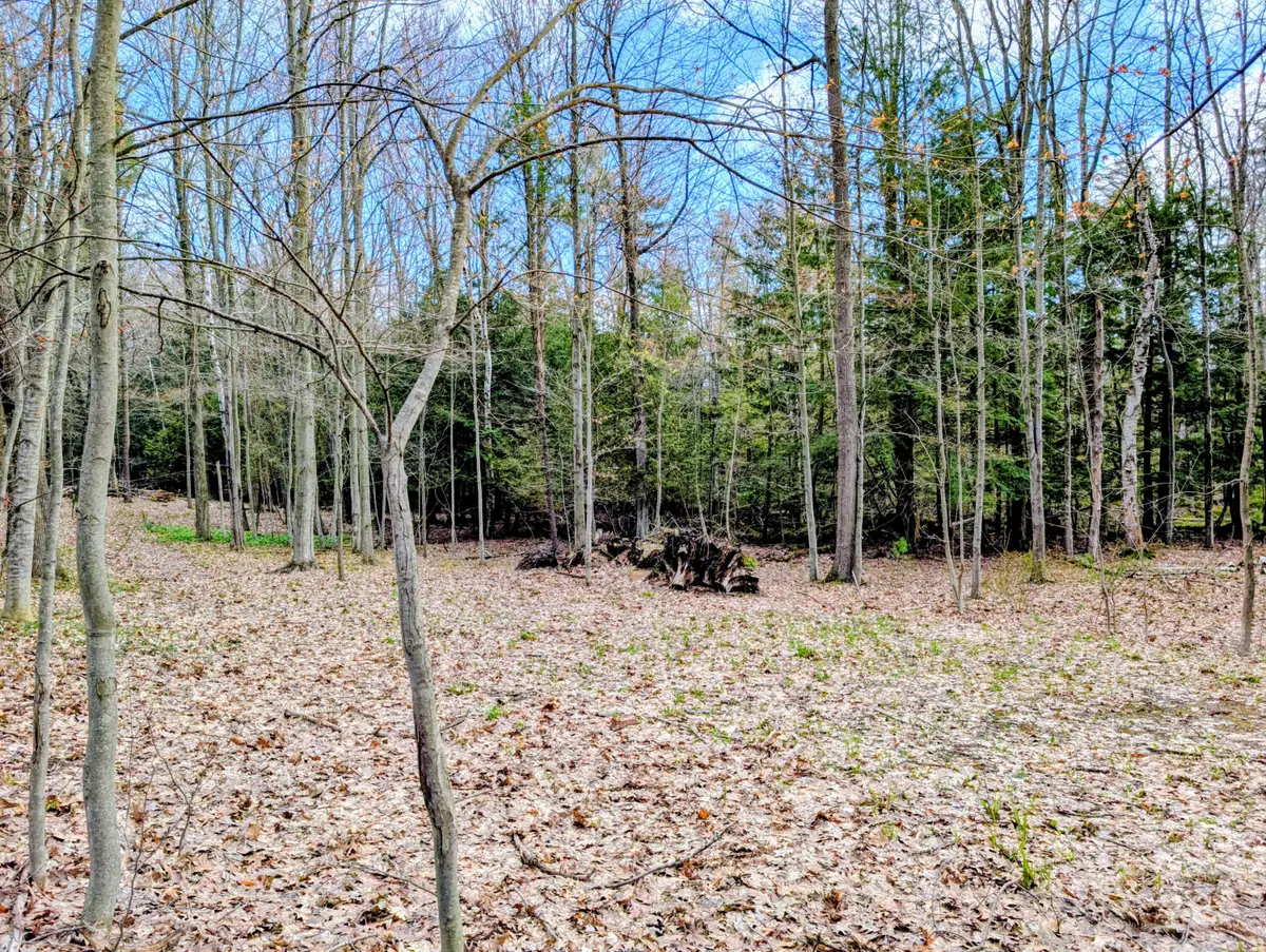 VL W Jagger Road, Ludington, MI 49431 - #1