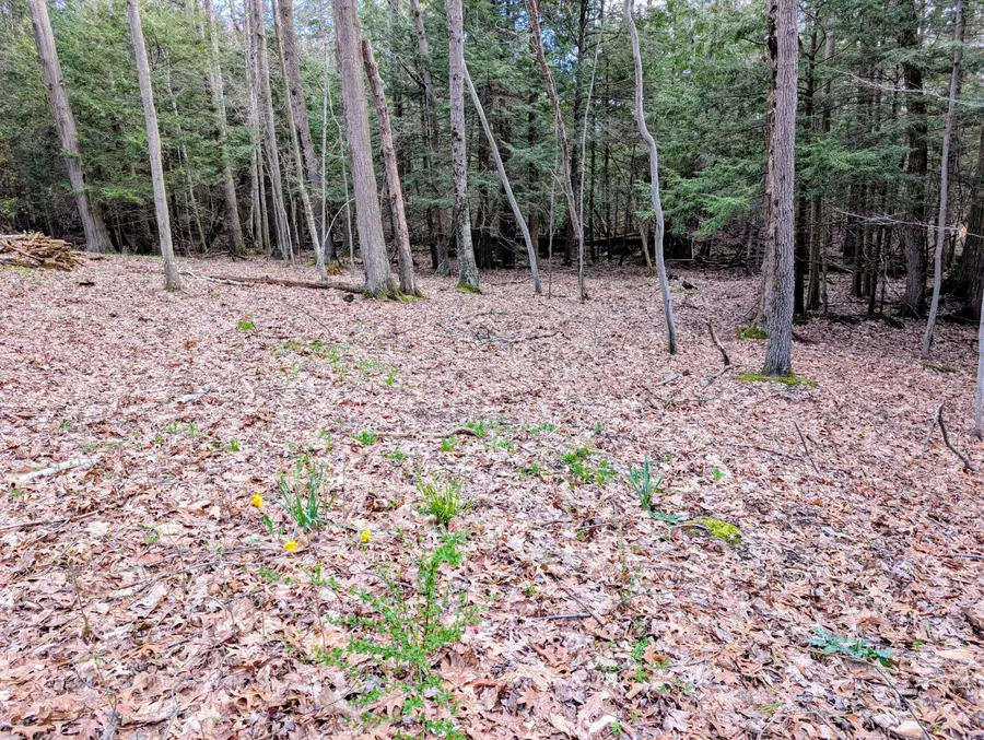 VL W Jagger Road, Ludington, MI 49431 - #2