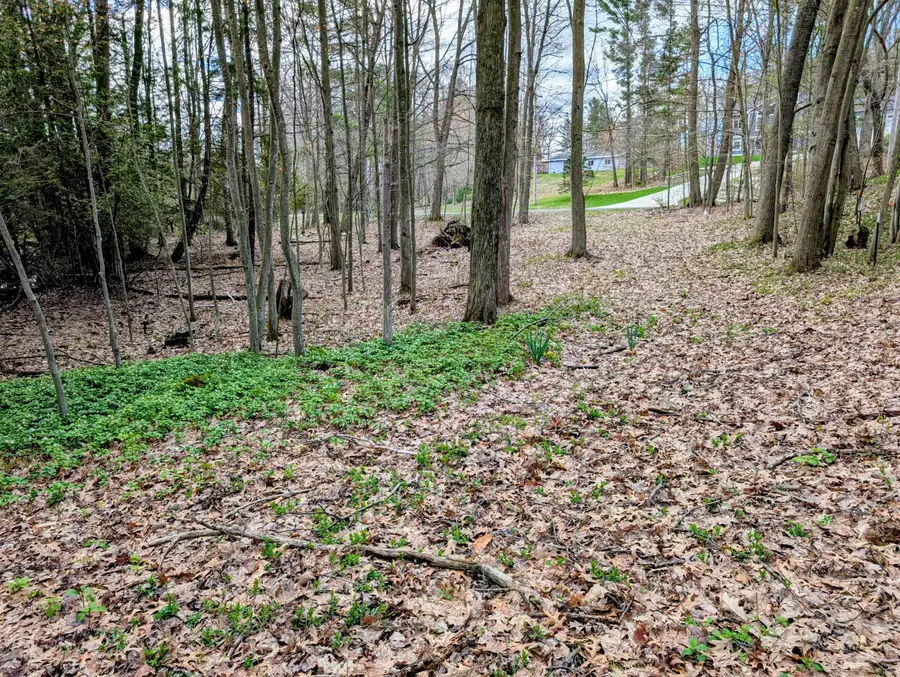VL W Jagger Road, Ludington, MI 49431 - #3