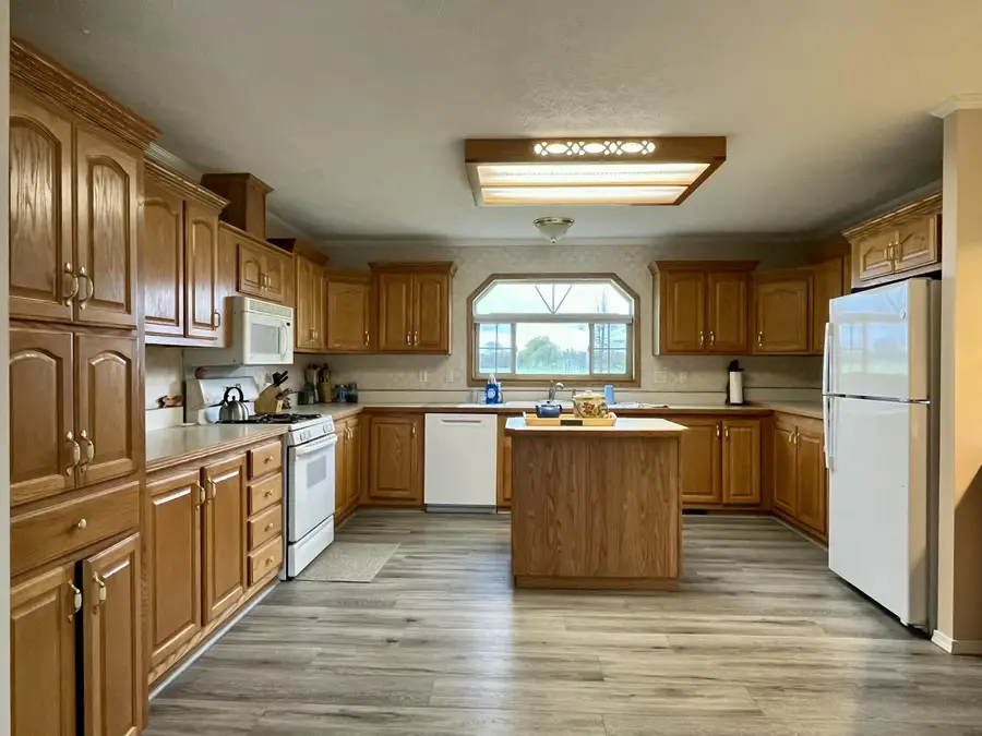 1897 E Edgar Road, Edmore, MI 48829 - #3