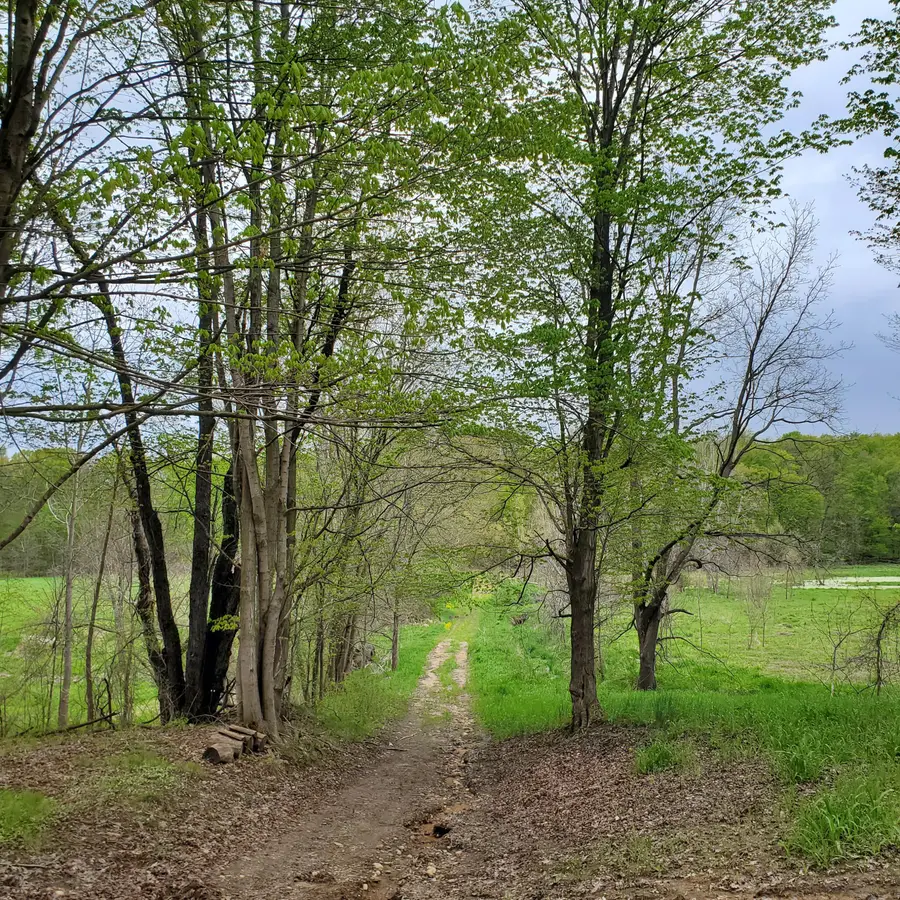 17th Street, Hopkins, MI 49328 - #2