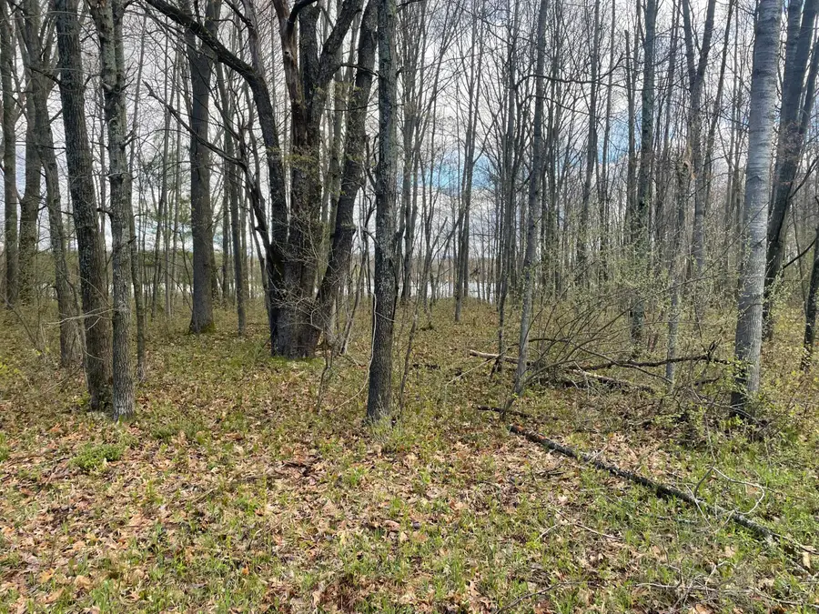 E Madison Road, Walkerville, MI 49459 - #2