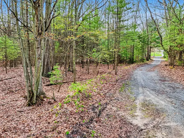 Parcel B E Sands Street, Pentwater, MI 49449
