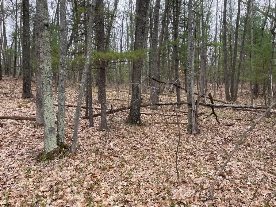 Parcel D Coates Hwy, Brethren, MI 49619 - #2