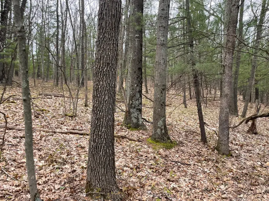 Parcel D Coates Hwy, Brethren, MI 49619 - #3