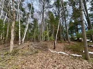 00 Lakeshore Drive, Manistee, MI 49660 - #1
