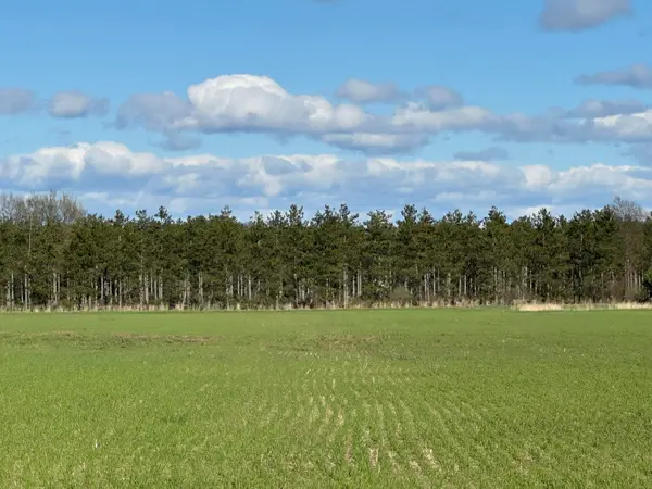 2210 E Gajeski Road, Free Soil, MI 49411