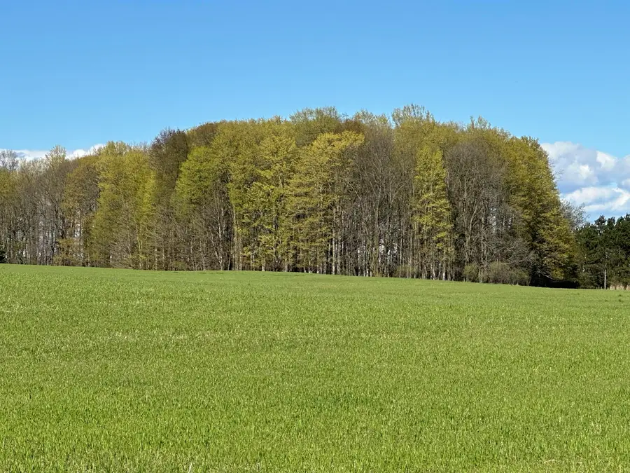 2210 E Gajeski Road, Free Soil, MI 49411 - #3