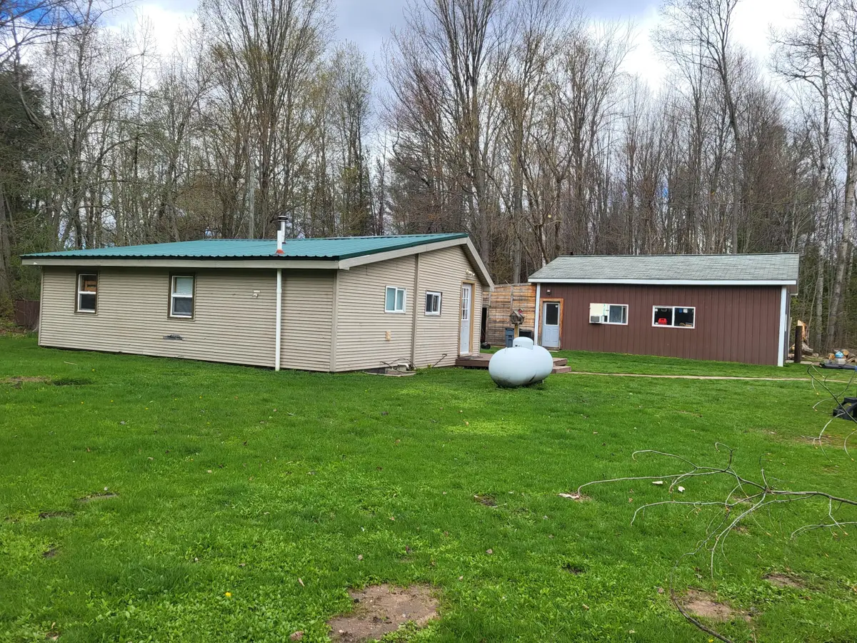 12496 Big Four Road, Bear Lake, MI 49614 - #1