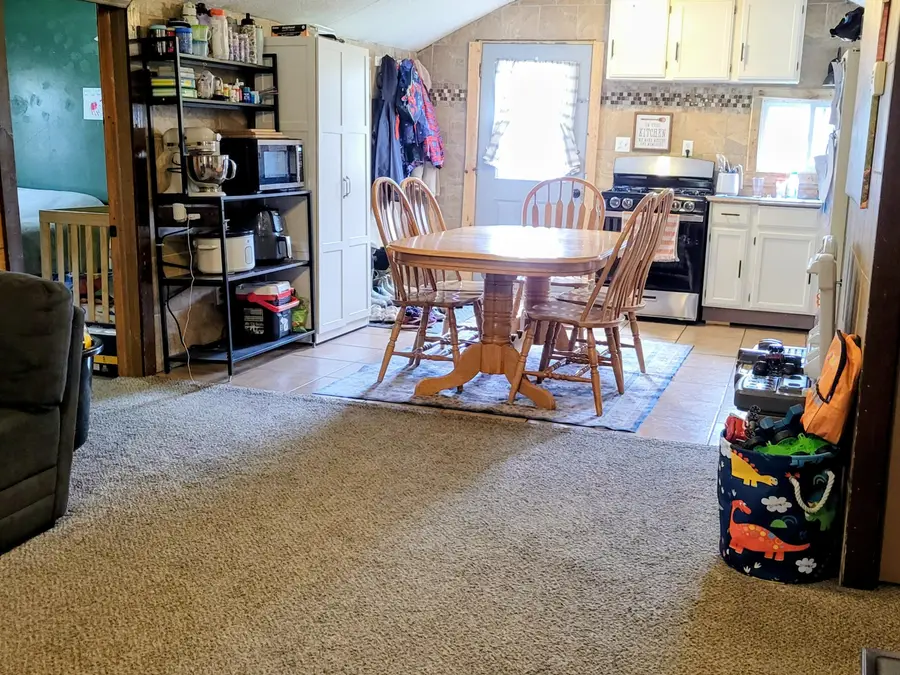 12496 Big Four Road, Bear Lake, MI 49614 - #3