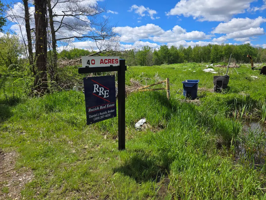 45124 41st Street, Paw Paw, MI 49079 - #2