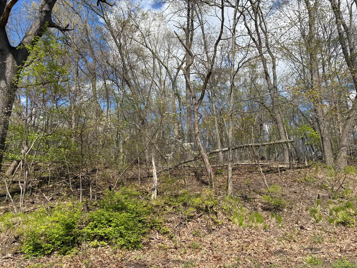 V/L Anderson Road, Cassopolis, MI 49031 - #1