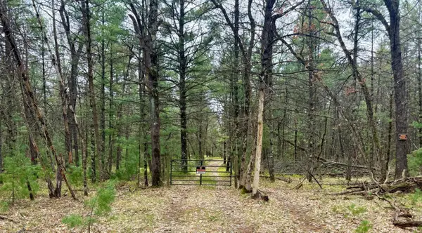 5858 W Wingleton Road, Baldwin, MI 49304