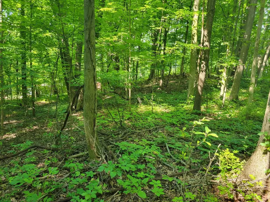 V/L Peterson Drive, Gobles, MI 49055 - #3