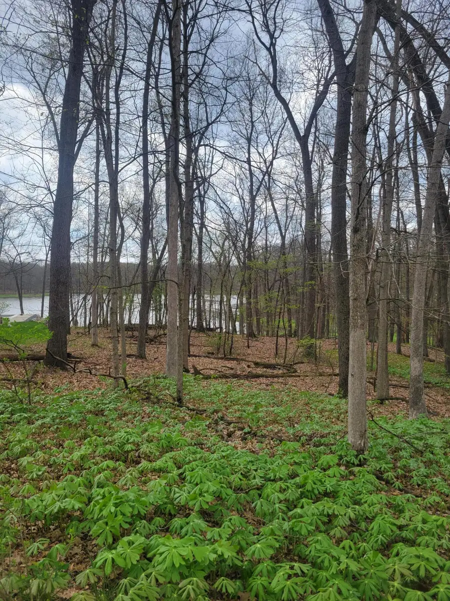 6452 N Shore Cove, Richland, MI 49083 - #3