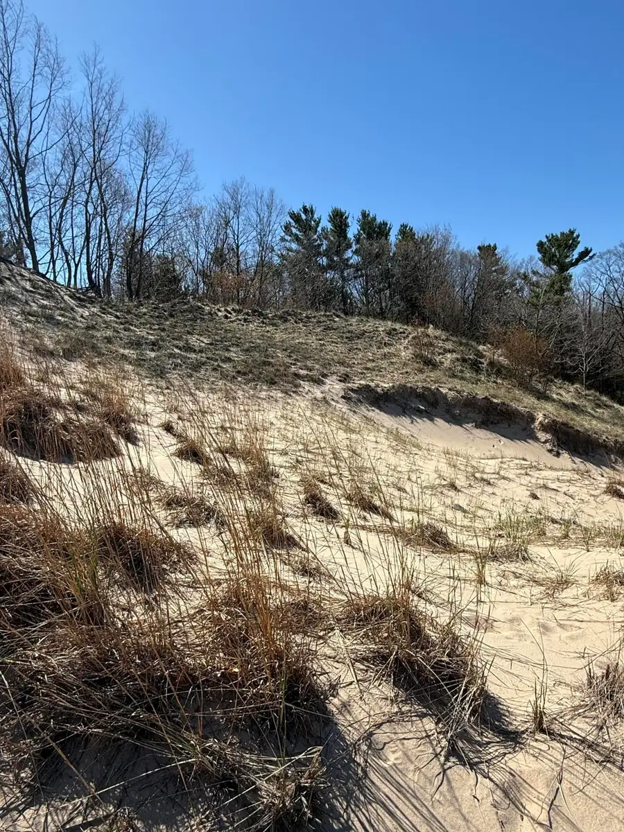Lot #313 Erie Trail, Shelby, MI 49455 - #3
