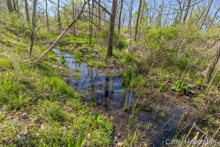 1057 W Tuttle Road, Ionia, MI 48846 - #3