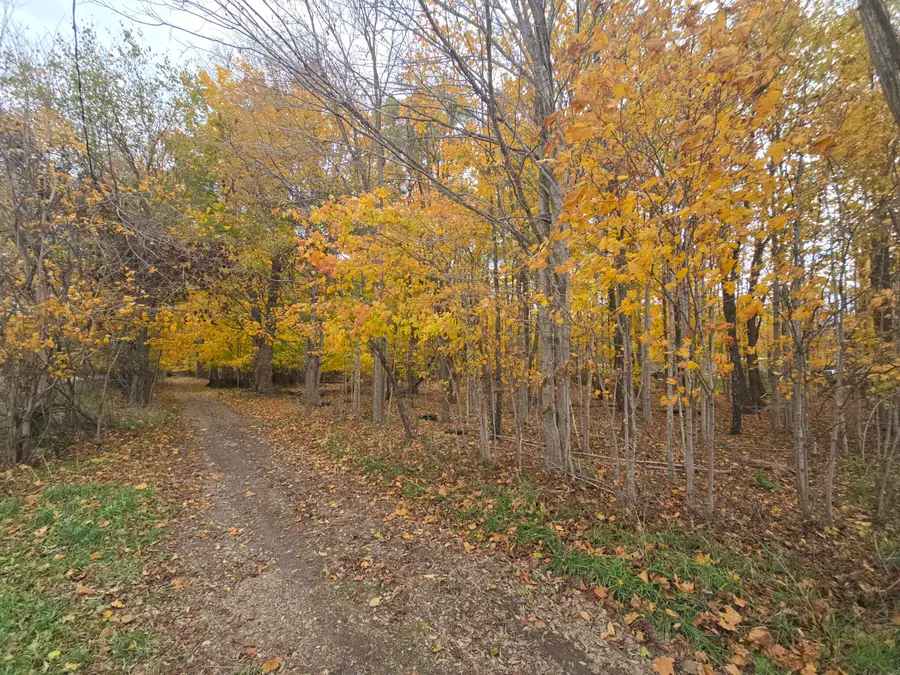1182 Oliverda Road, Sherwood, MI 49089 - #2