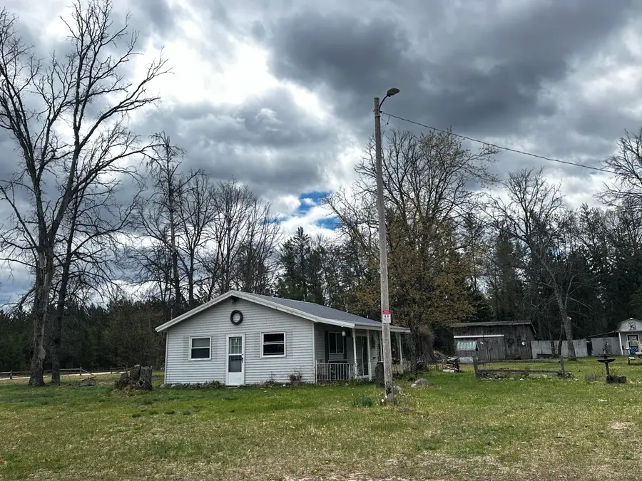 955 E 11 Mile Road, Irons, MI 49644 - #2