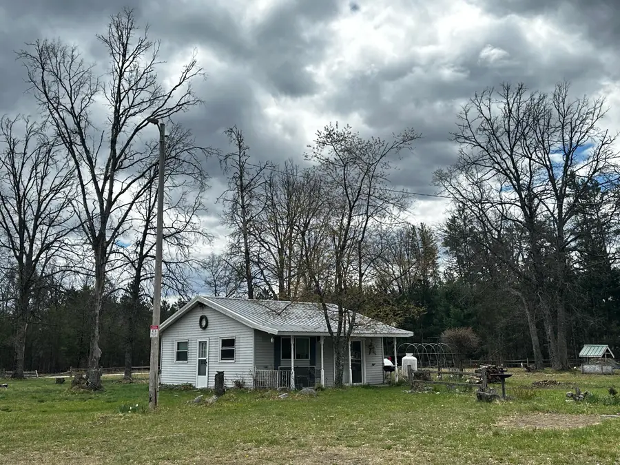 955 E 11 Mile Road, Irons, MI 49644 - #3