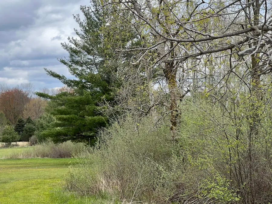 11148 N Satterlee Road, Lakeview, MI 48850 - #3