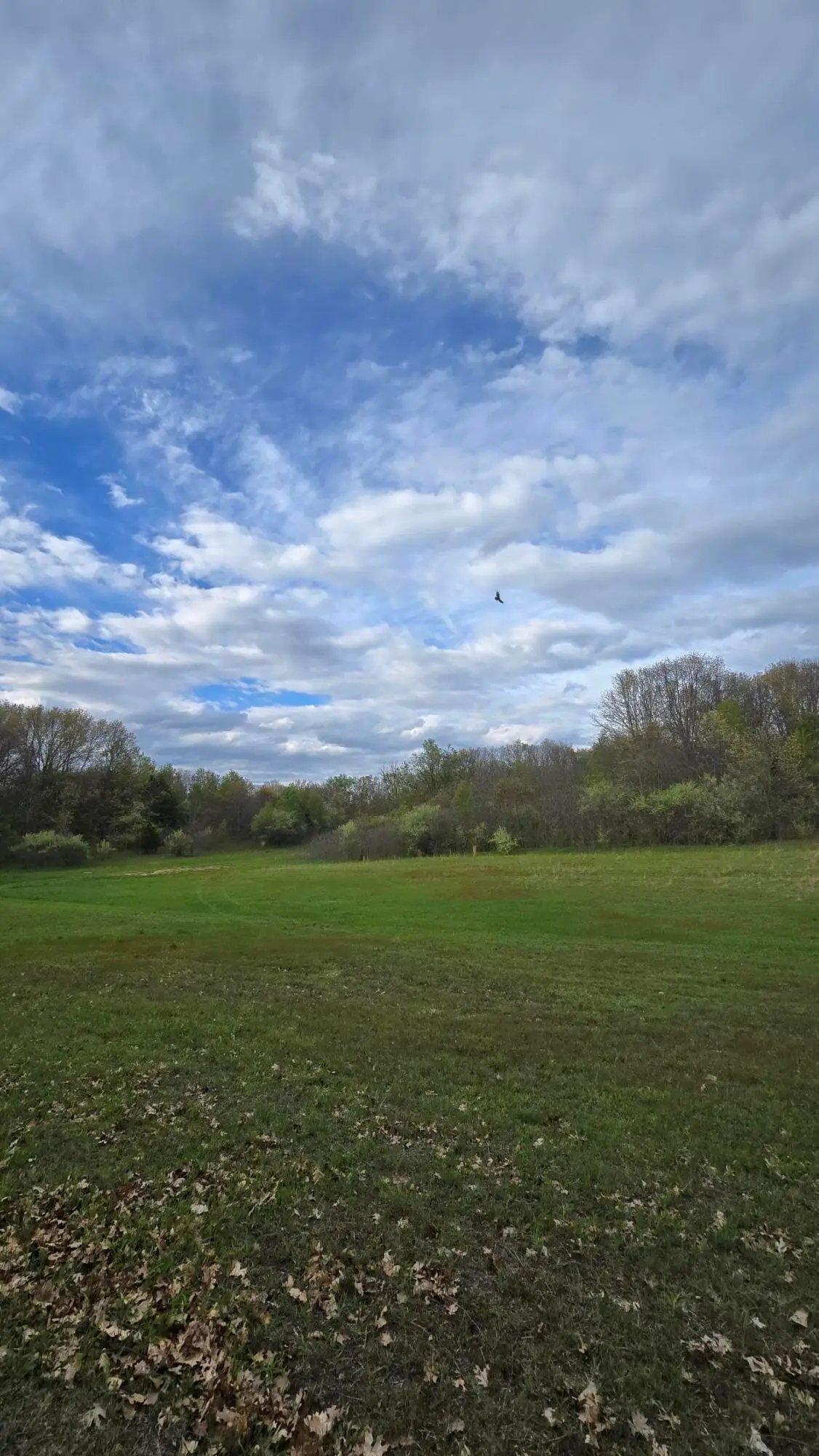 683 Marsh Road, Plainwell, MI 49080 - #1
