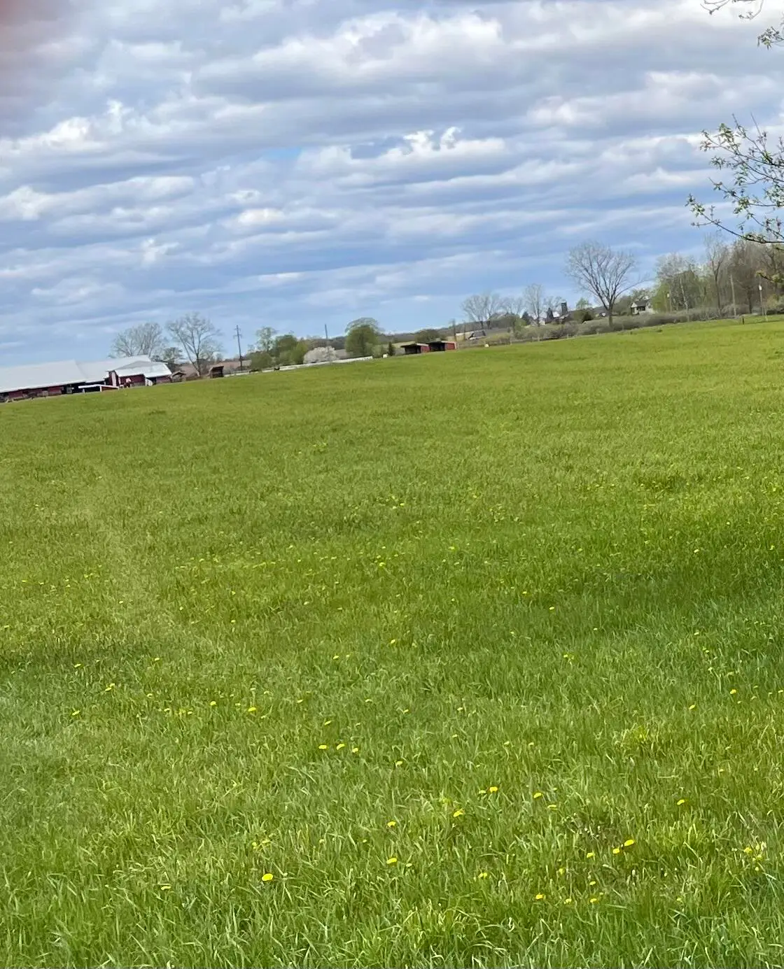 C Howard City Edmore Road, Lakeview, MI 48850 - #1