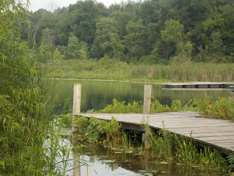 Lot #10 Long Lake Drive, Cassopolis, MI 49031 - #3