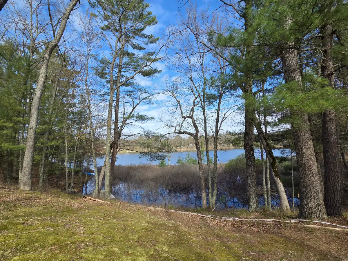 4735 N Alice Lake Drive, Irons, MI 49644 - #1