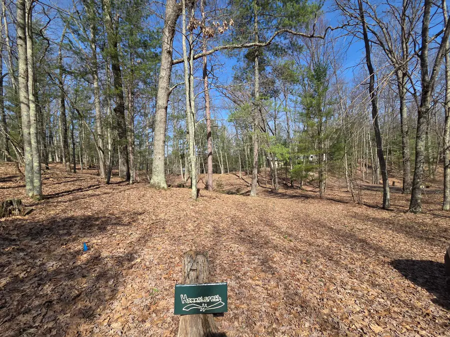 4735 N Alice Lake Drive, Irons, MI 49644 - #2