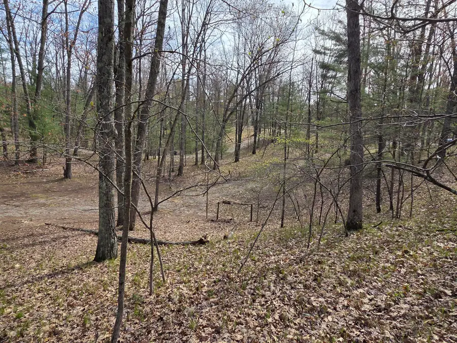 4735 N Alice Lake Drive, Irons, MI 49644 - #3