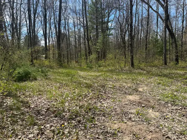 00 S Shepperd Road, Branch, MI 49402
