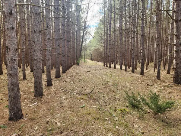 2398 Bittersweet Drive, Manistee, MI 49660