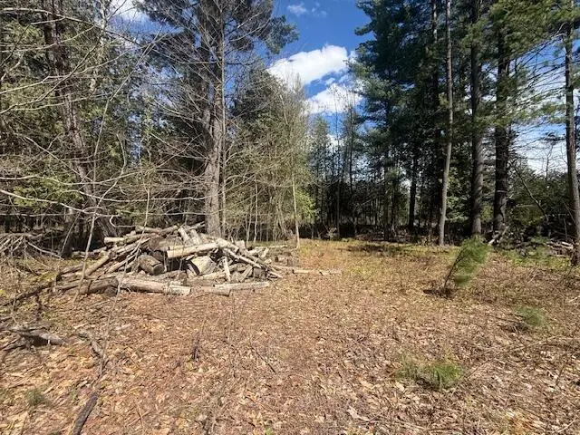 735 N Lakola Road, Leroy, MI 49655 - #1