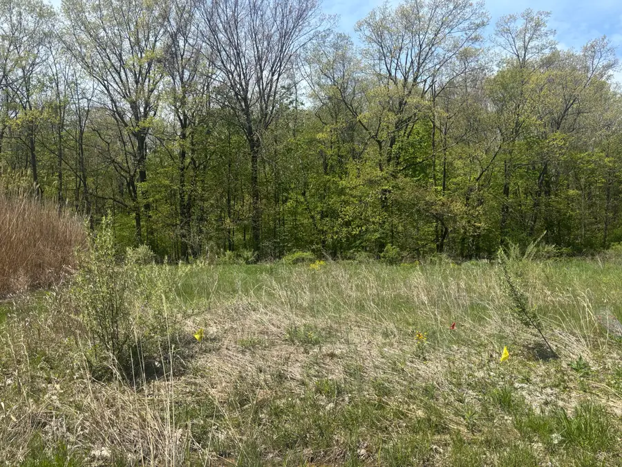 Jane Way #7, Sawyer, MI 49125 - #2