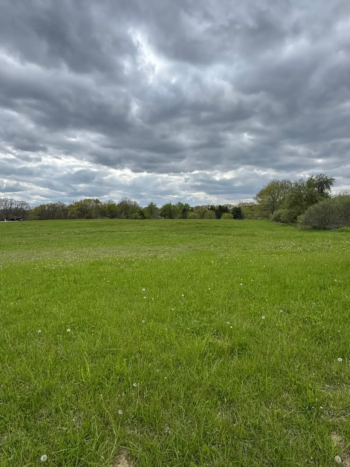4 Chilson Road, Howell, MI 48843 - #1