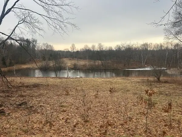 10300 E 24th Street, Reed City, MI 49677